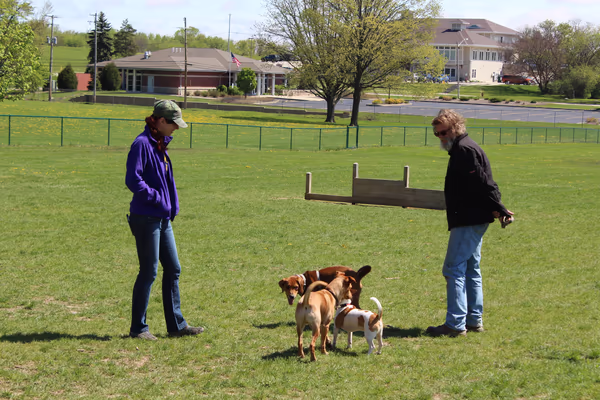 Harris Family Dog Park